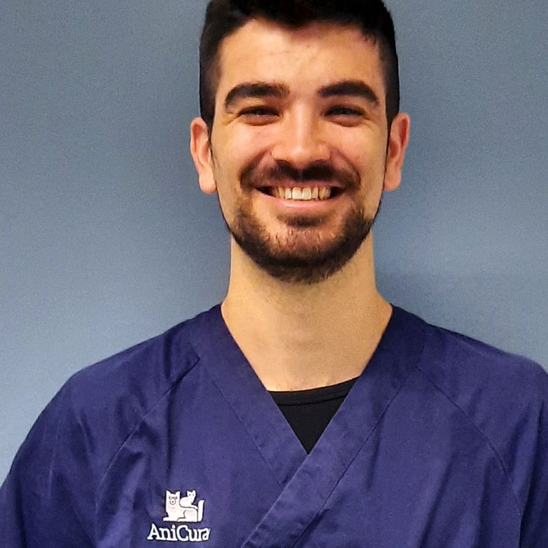 Foto di Dott. Mirko Mattolini, Medico Veterinario