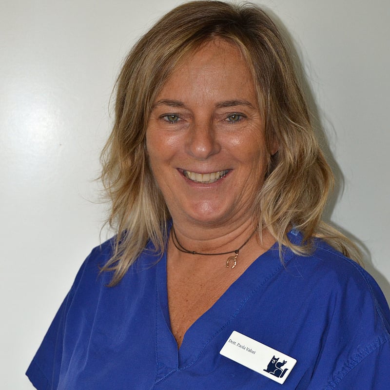 Foto di Paola Valori, Medico Veterinario