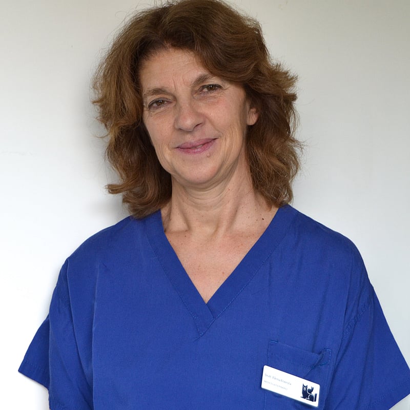 Foto di Elena Foresta, Medico Veterinario