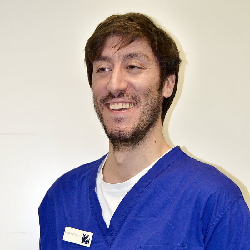 Foto di Daniele Picelli, Medico Veterinario
