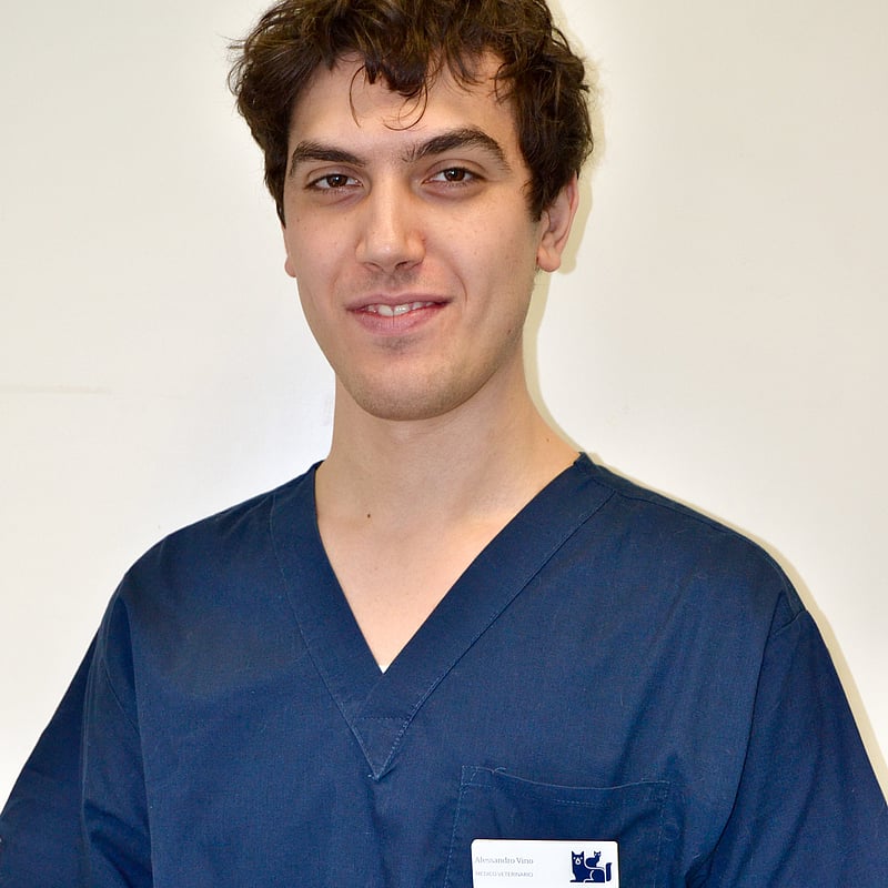 Foto di Dott. Alessandro Vino, Medico Veterinario
