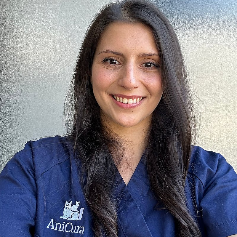 Foto di Dott.ssa Silvia Angeletti, Medico Veterinario