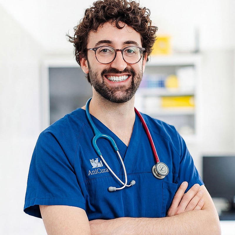 Foto di Dott. Nicolò Giordano, Medico Veterinario