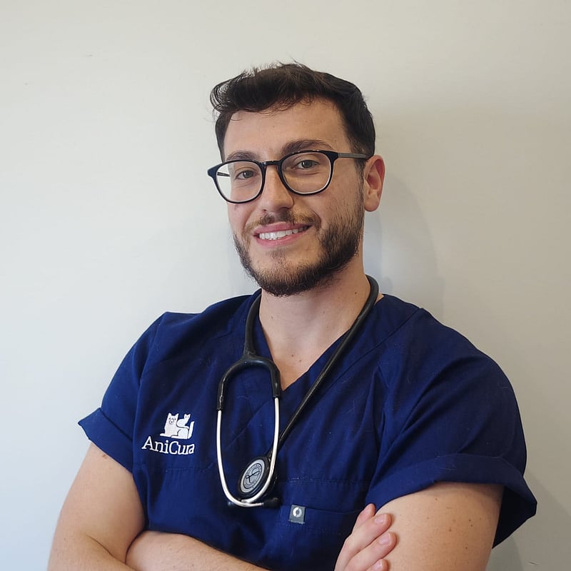 Foto di Dott. Marco Bocchetti, Medico Veterinario