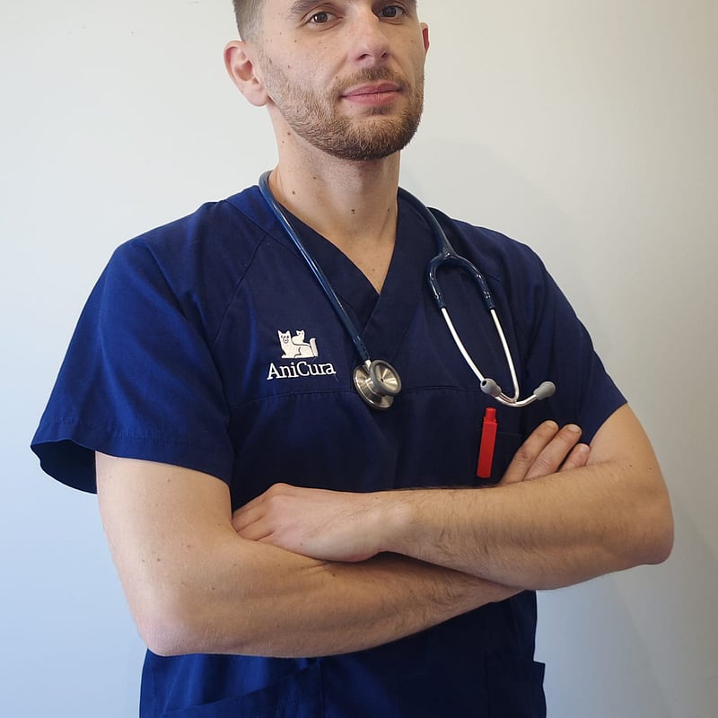 Foto di Dott. Pasquale Mininni, Medico Veterinario