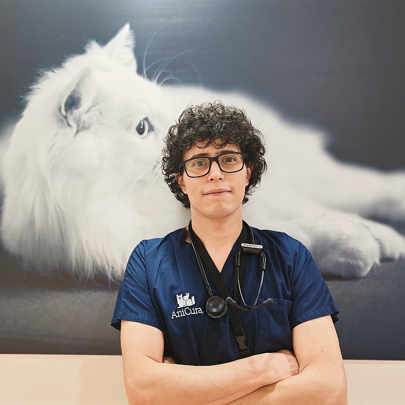 Foto di Dott. Thomas Virgilii, Medico Veterinario