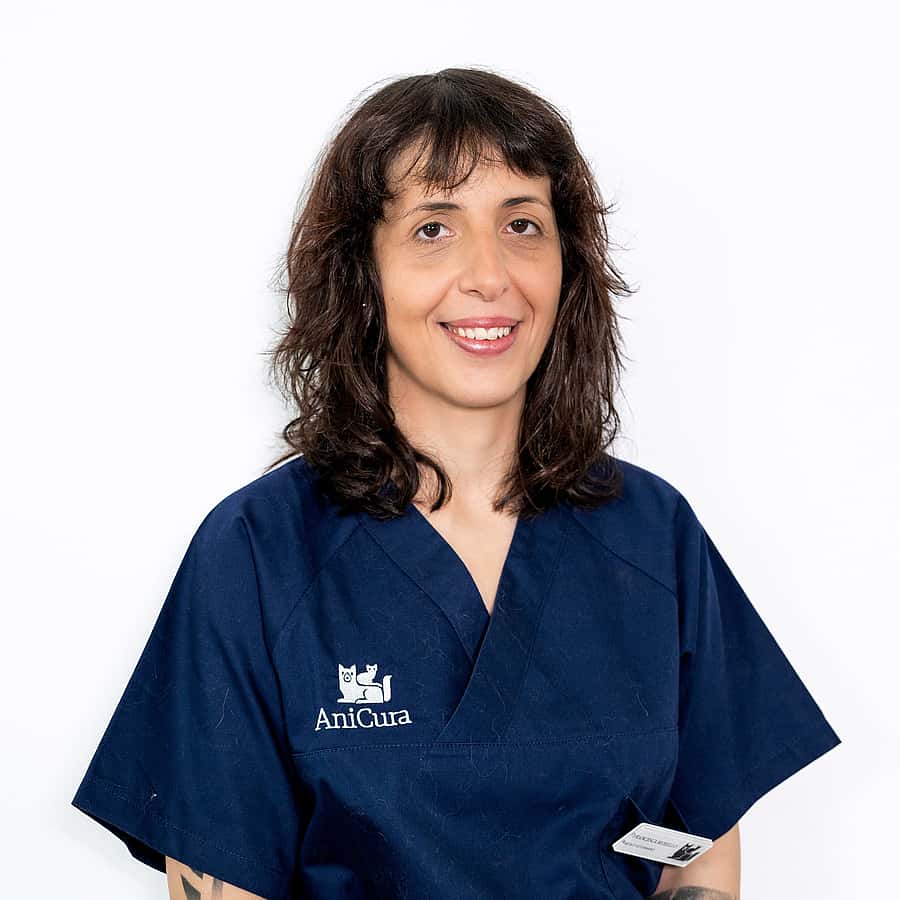 Dr Francesca Morello