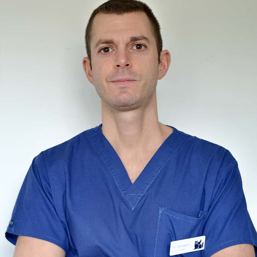 Theo Gugliotta