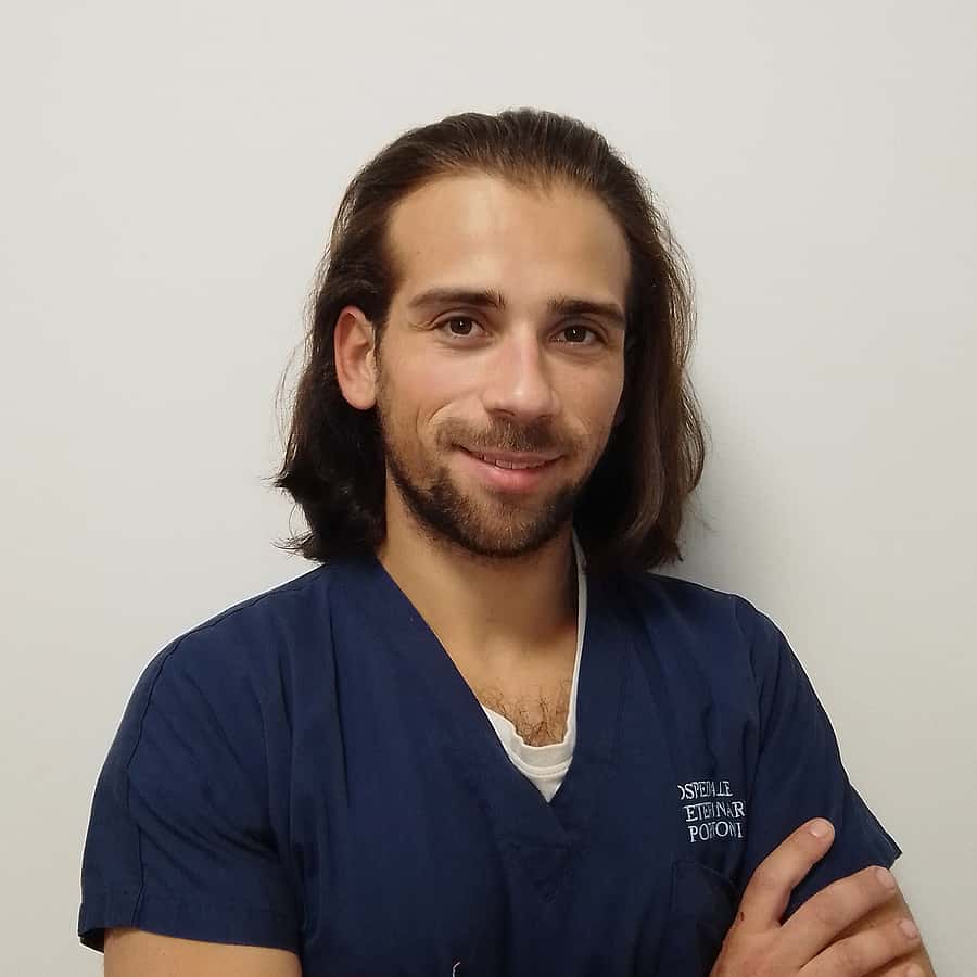 Alessandro Palestrina