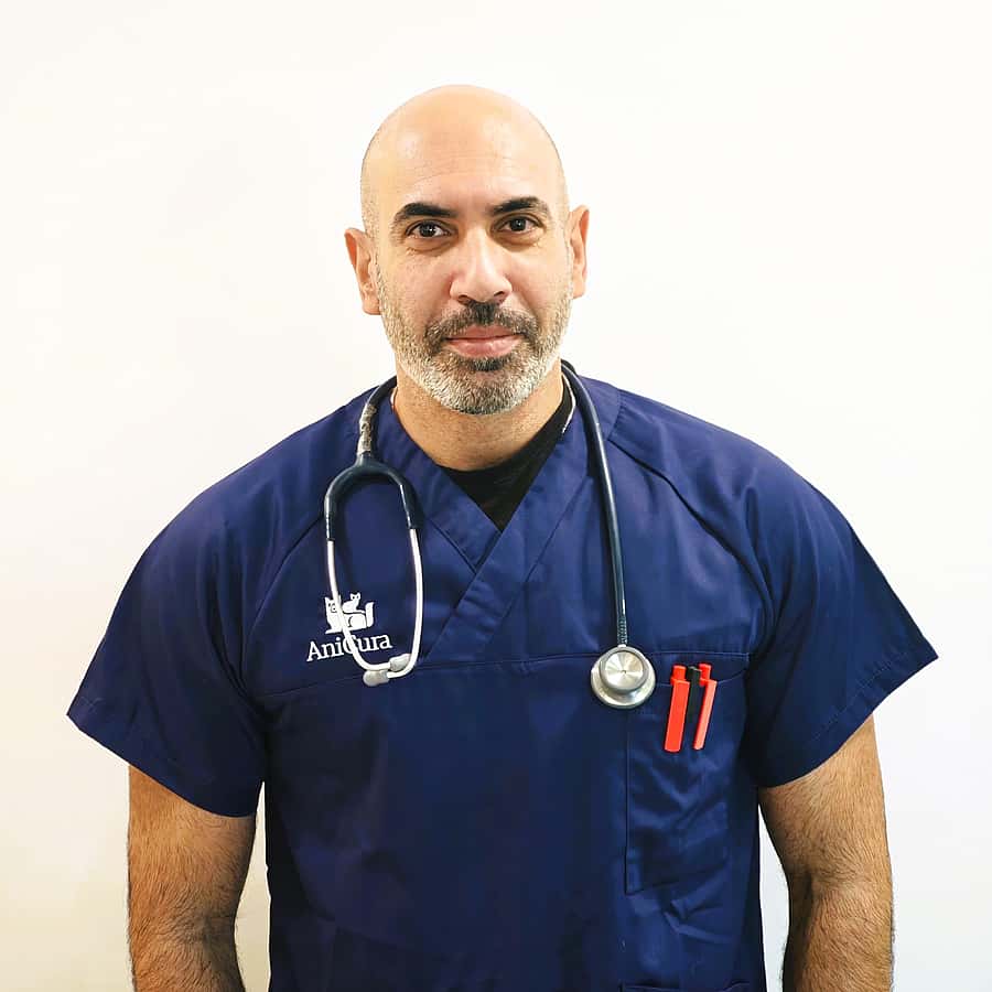 Dott. Shahin Amirjalali