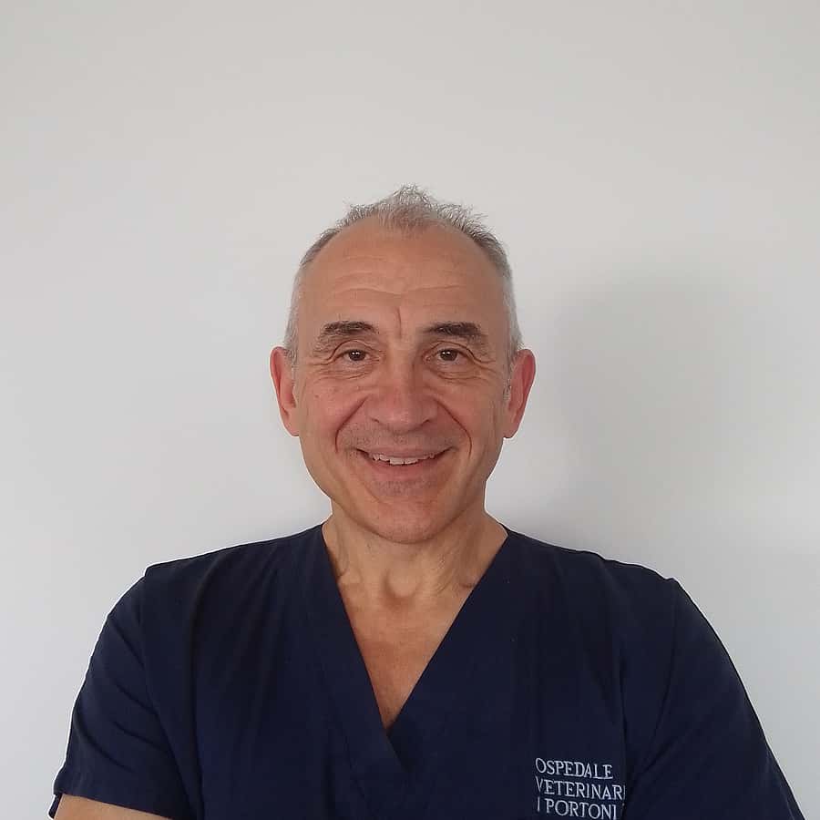 Stefano Nicoli