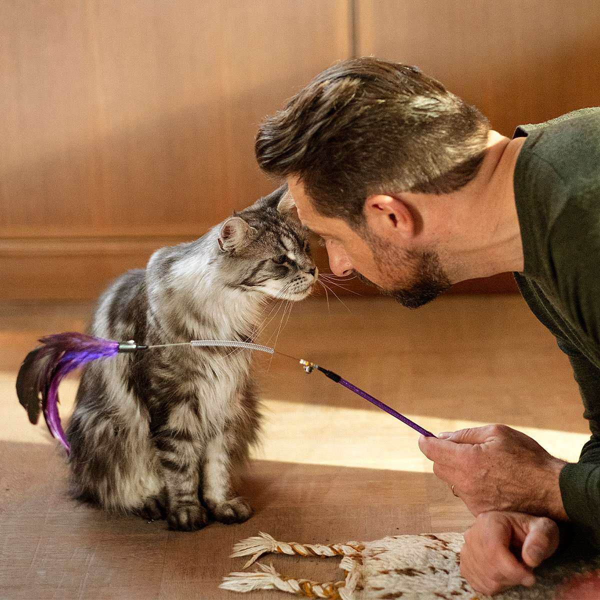 Cat playing with human.