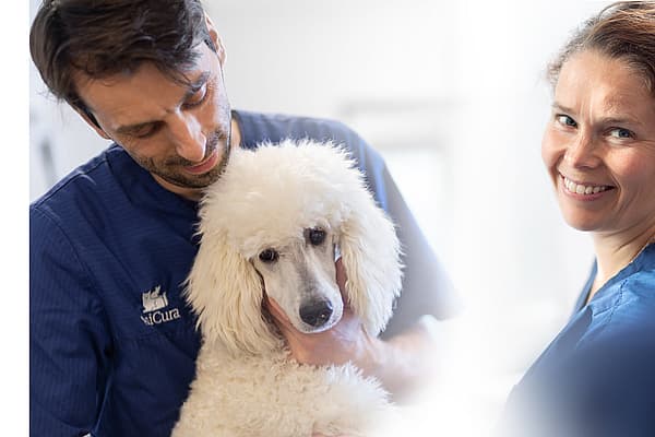 Una persona e una persona che tiene in braccio un cane.