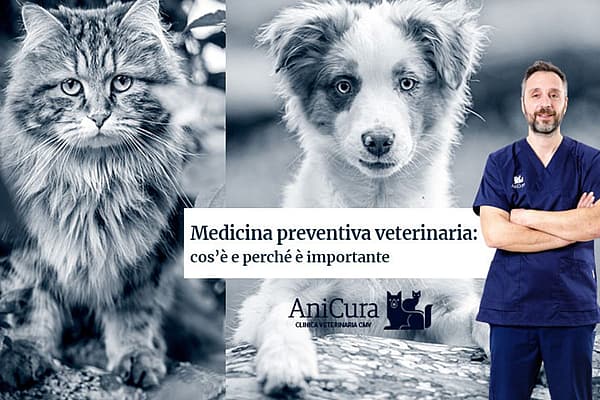 Una persona in camice blu e un cane e un cartello.