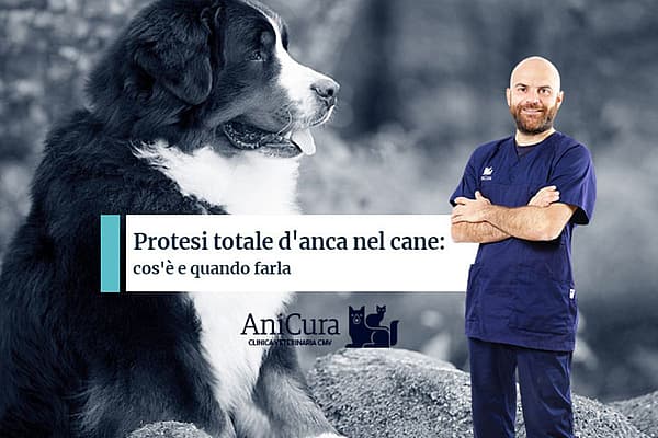Una persona in piedi accanto a un cane.