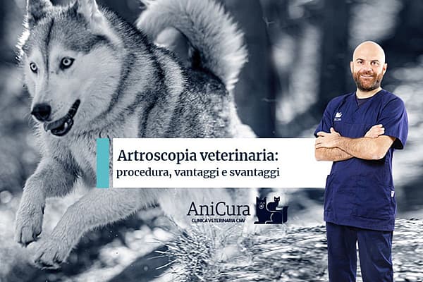 Una persona in piedi davanti a un poster con un cane.