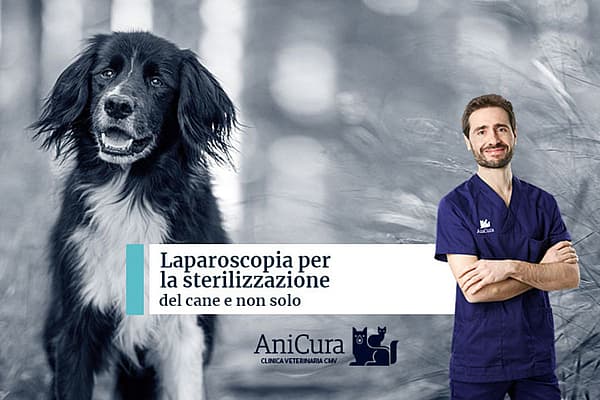 Una persona in camice blu in piedi accanto a un cane.