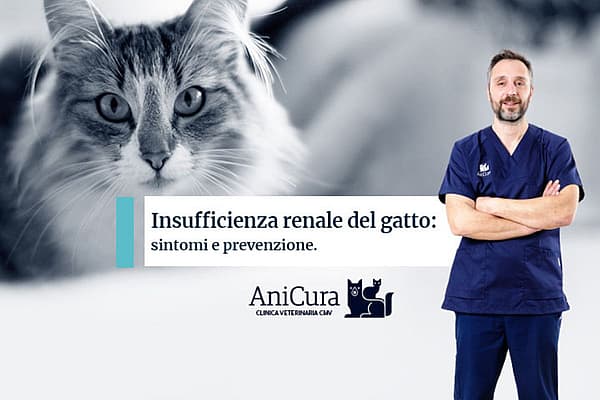 Una persona in camice blu in piedi davanti a un gatto.