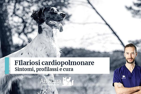 Una persona in piedi con le braccia incrociate e un cane.