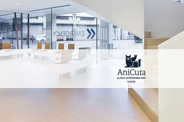 Una stanza bianca con sedie e scale.