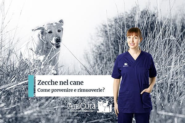 Una persona in scrub blu in piedi nell'erba alta.