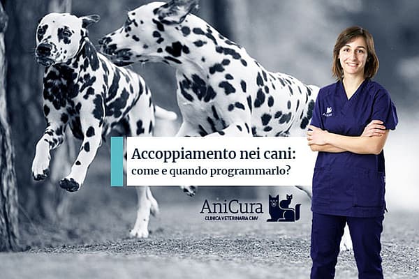 Una persona in camice blu in piedi davanti a un gruppo di cani.