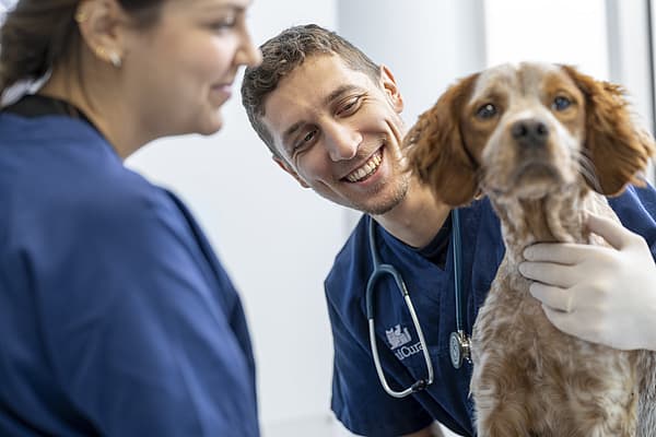 Una persona e una persona che tiene in braccio un cane.