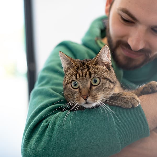 Una persona che tiene in braccio un gatto.