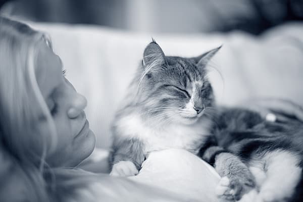 Una persona sdraiata su un divano con un gatto.