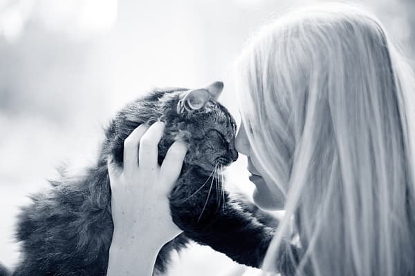 Una persona che tiene in braccio un gatto.