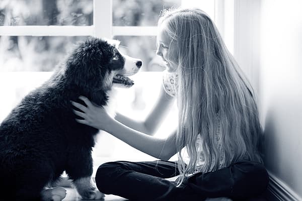 Un bambino che accarezza un cane.