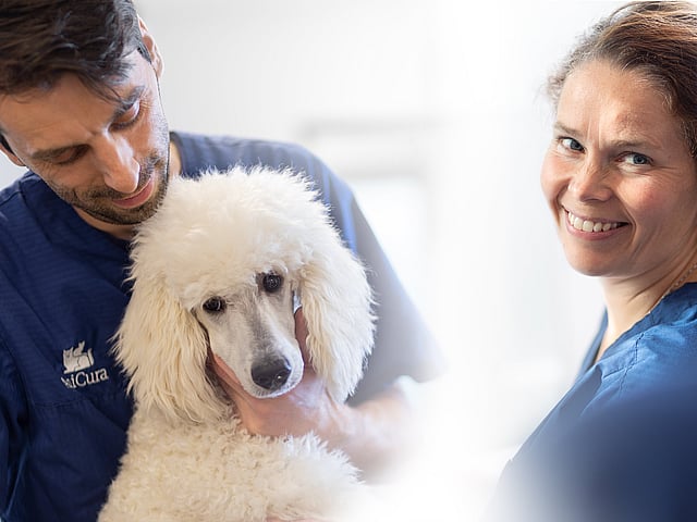 Una persona e una persona che tiene in braccio un cane.