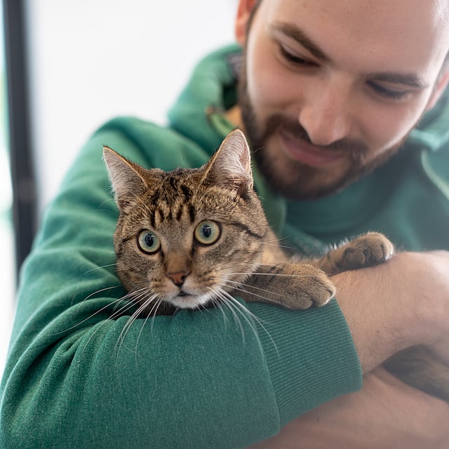 Una persona che tiene in braccio un gatto.