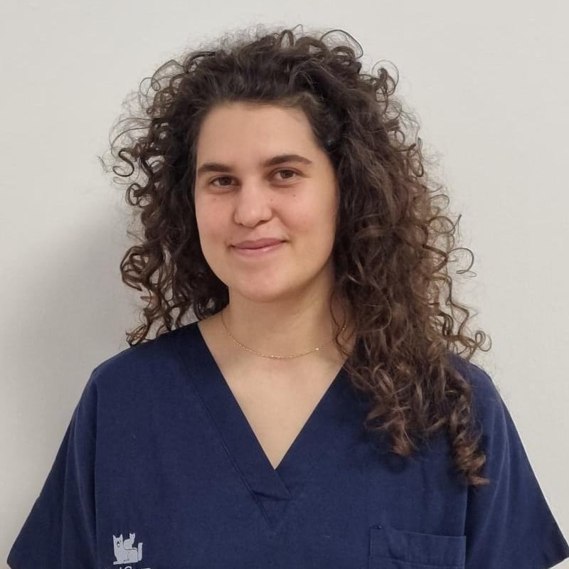 Foto di Chiara Ruggieri, Intern Rotazionale