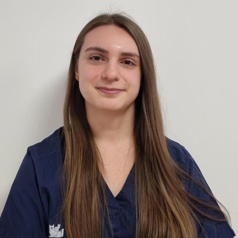 Foto di Elisa Marani, Intern Rotazionale