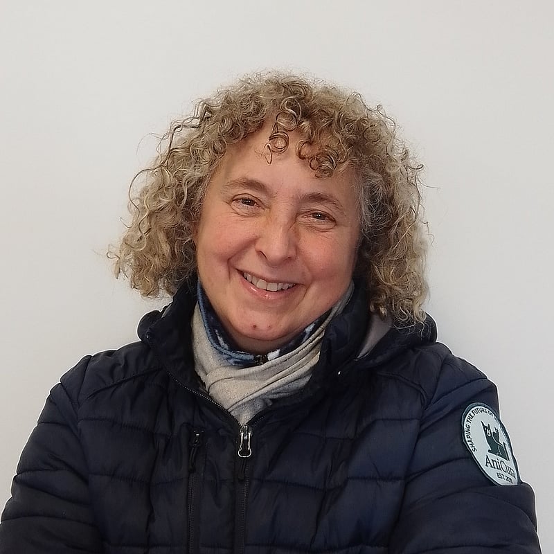 Foto di Federica Lolli, Servizi