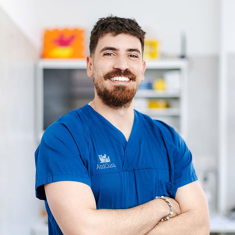 Foto di Dott. Luigi Primavera, Medico Veterinario