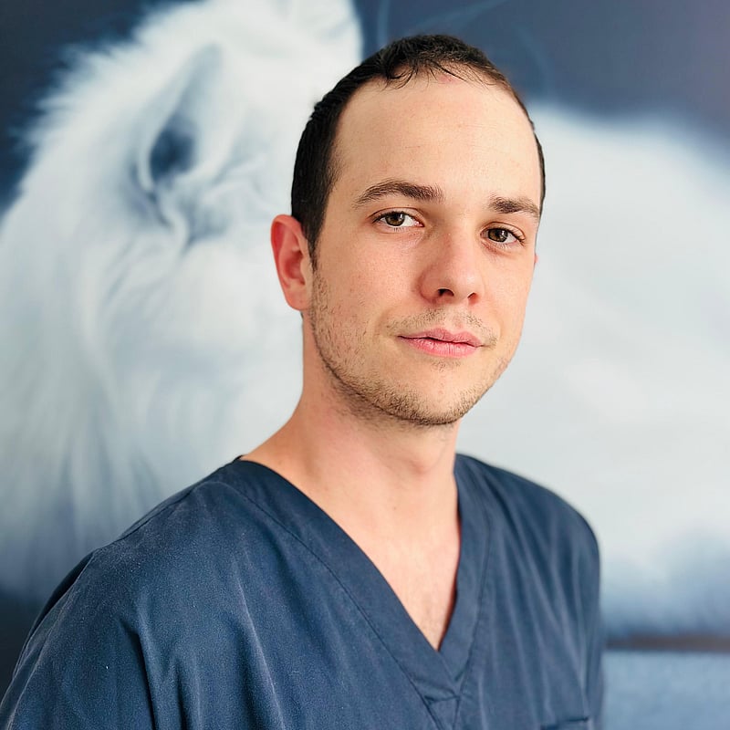 Foto di Dott. Gabriele Grilli, Medico Veterinario