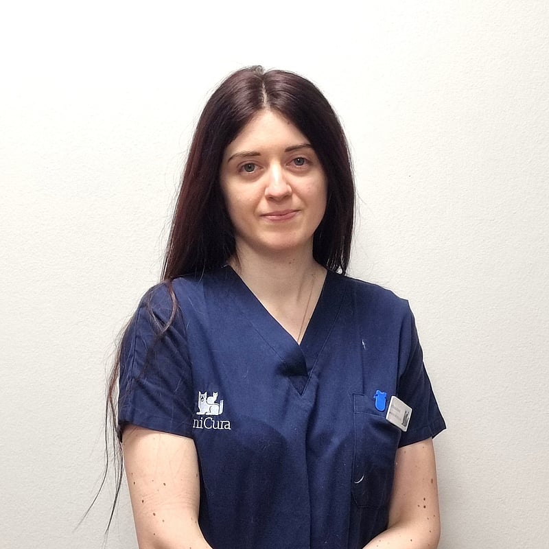 Foto di Dott.ssa Francesca Romoli, Dvm Terapia Intensiva E Medicina D'urgenza