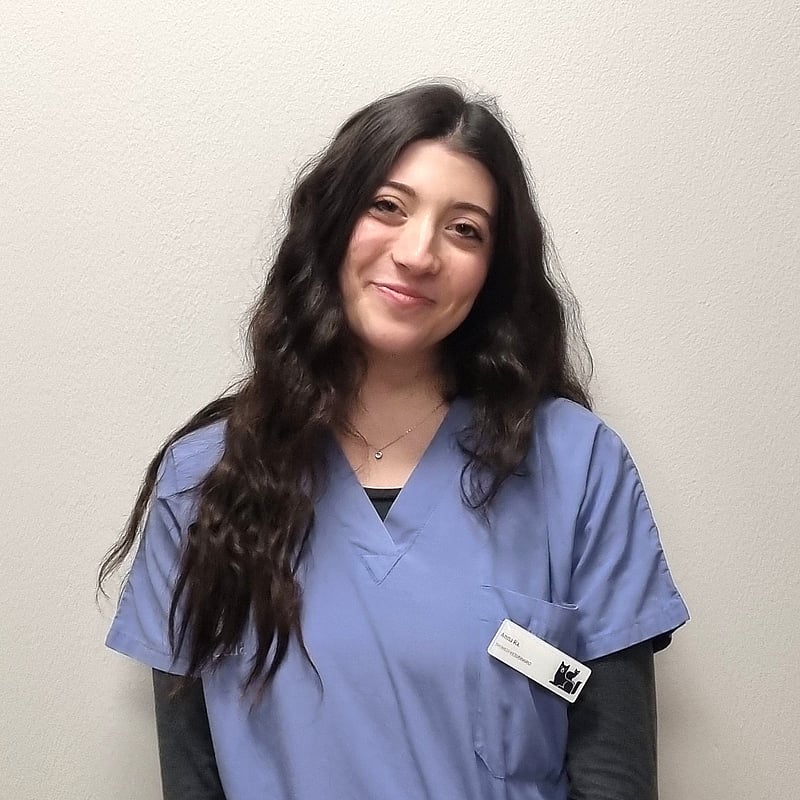 Foto di Anna Radicchi, Tecnico Veterinario Medicina D'urgenza E Terapia Intensiva