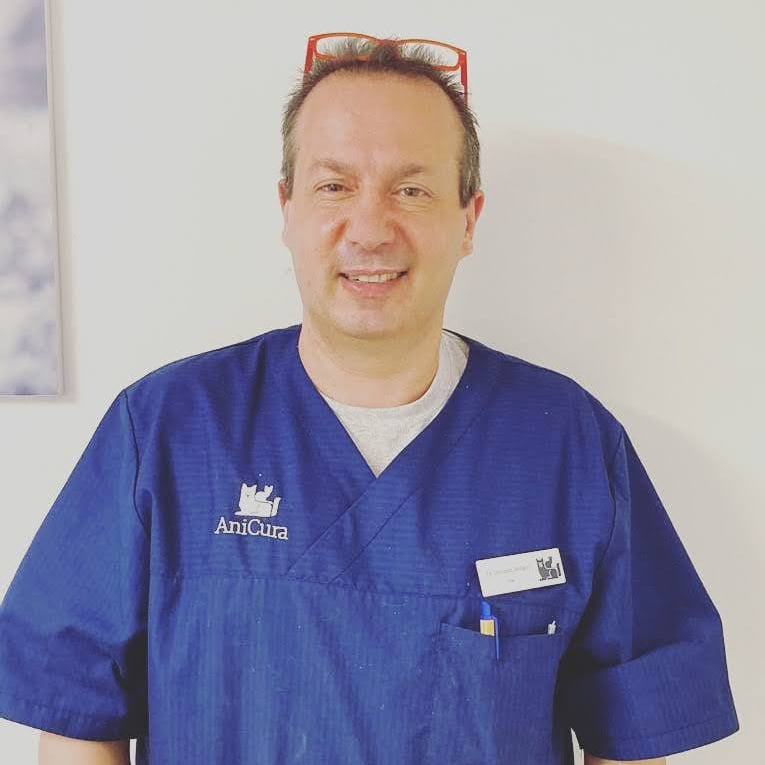 Foto di Dott. Giovanni Stellacci, Medico Veterinario