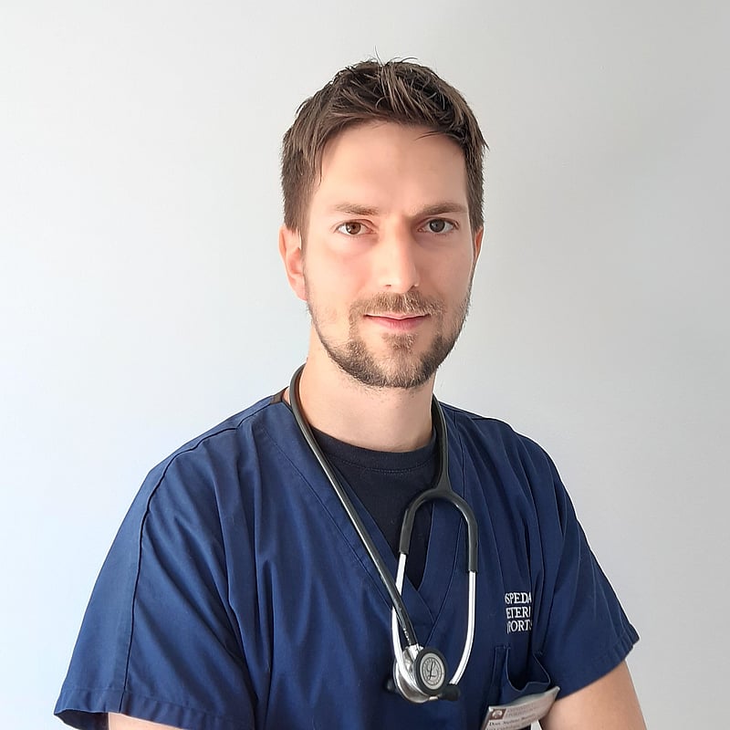 Foto di Stefano Battaia, Responsabile U.o. Cardiologia