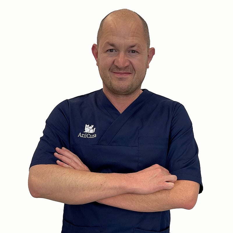 Foto di Dott. Andrea Arcangeli, Medico Veterinario