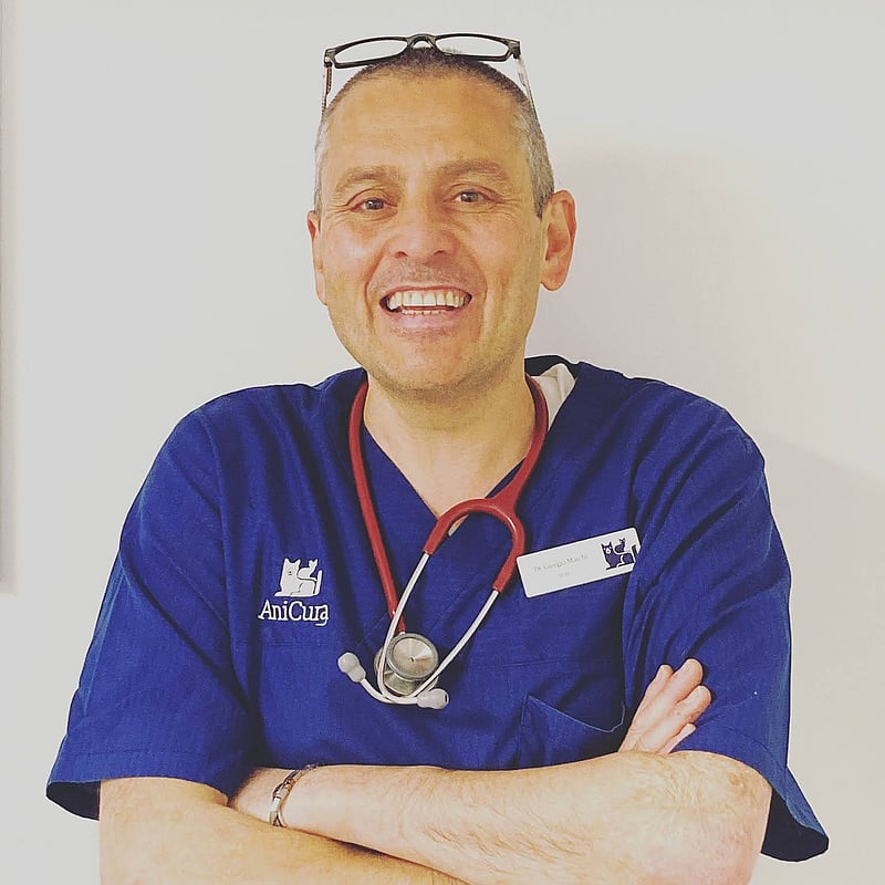 Foto di Dott. Giorgio Marchi, Medico Veterinario