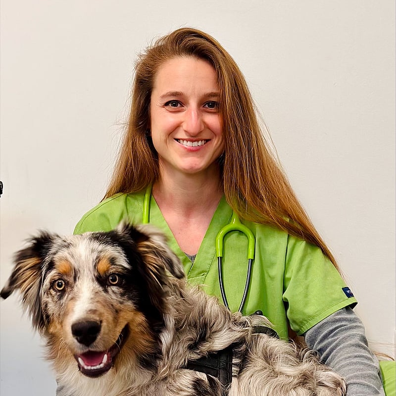 Foto di Dr.ssa Marta Candeli, Medico Veterinario