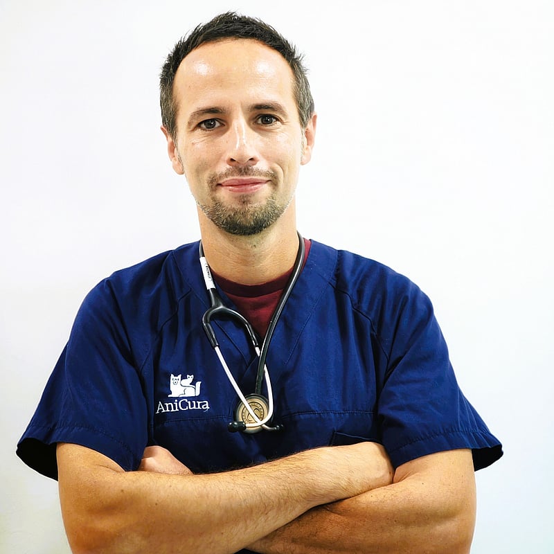 Foto di Dott. Marco Cipolletti, Medico Veterinario