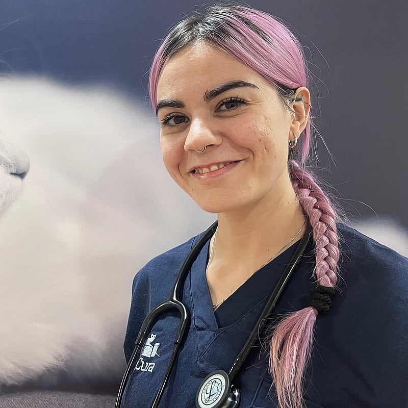 Foto di Dott.ssa Claudia di Michele, Medico Veterinario
