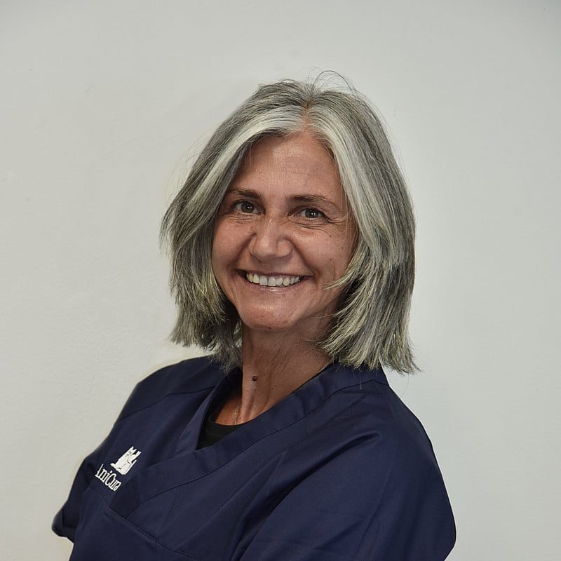 Foto di Dott.ssa Margherita Mastromauro, Direttore Sanitario, Neurologia, Chirurgia, Anestesia