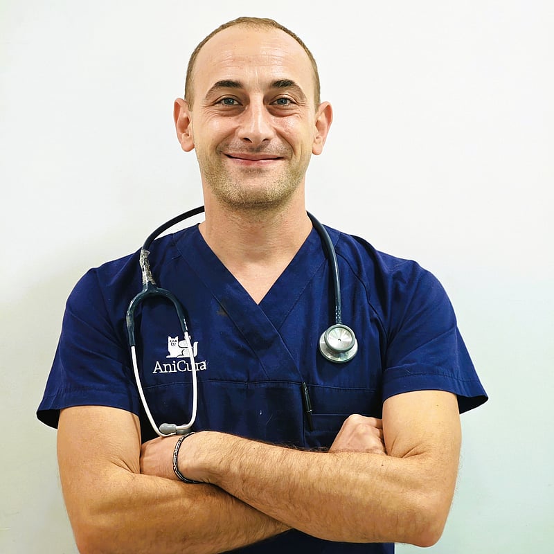 Foto di Dott. Marco Zappalorto, Medico Veterinario