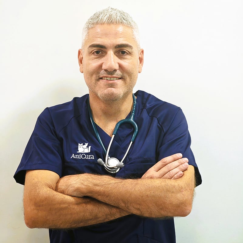 Foto di Dott. Carmelo Spizzica, Medico Veterinario